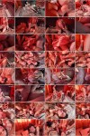 Bukkake Orgy: Black Pearl | Буккаке Оргия: Блэк Пёрл (2024) HD 1080p